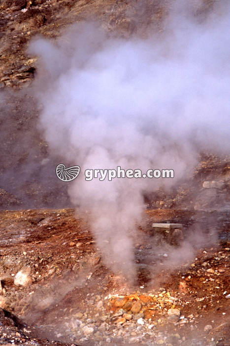 Solfatares Pozzuoli (Italie) - gryphea.com